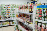 Praktik Garden (Staroderevenskaya Street, 34к2), gardening shop