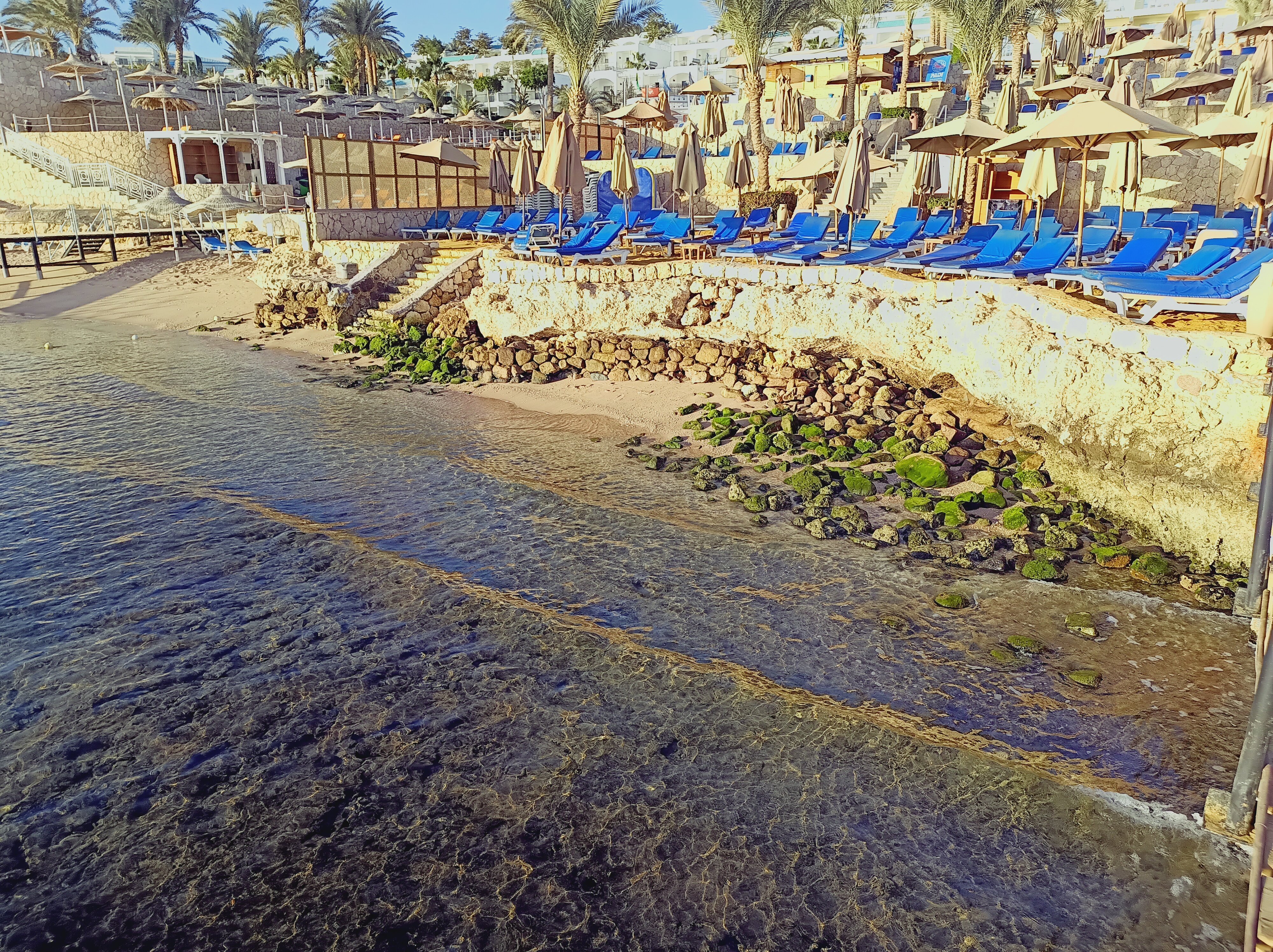 Фото Xperience Sea Breeze Resort