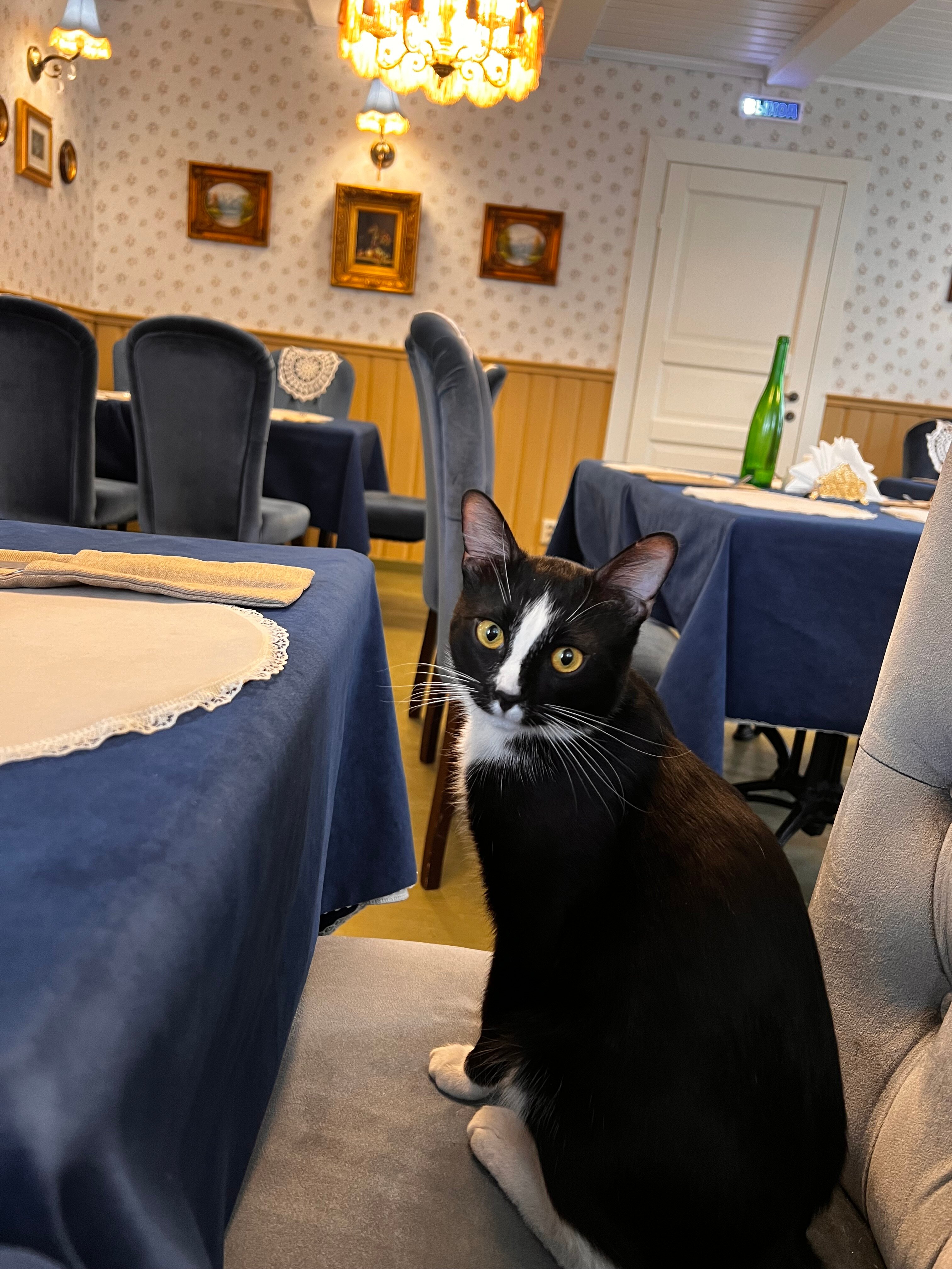 Фото Генеральская Дача