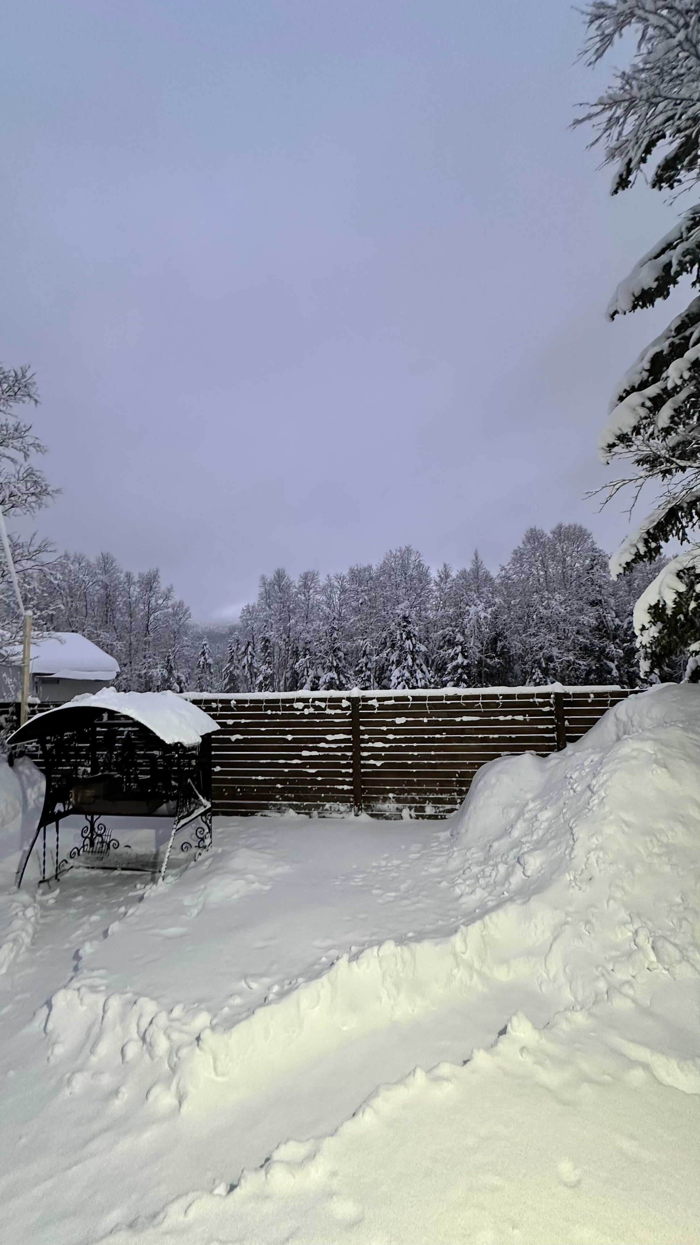 Фото ХибиныДача