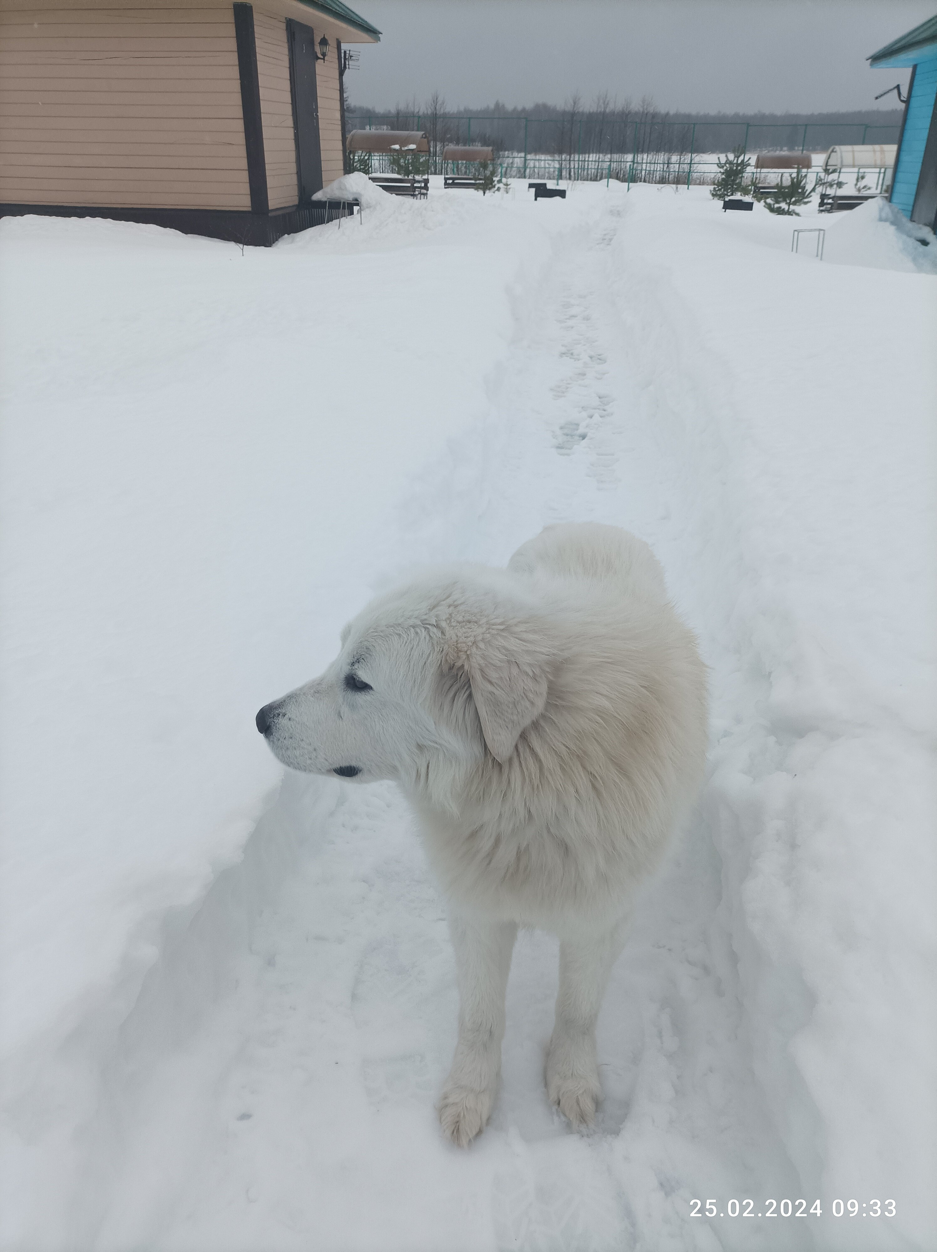 Фото Лесной скит