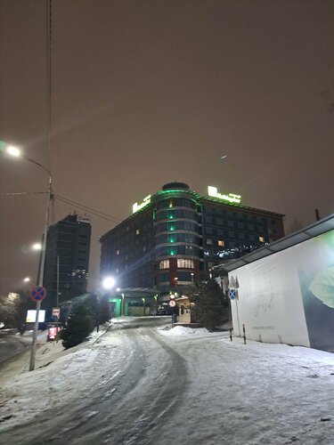 Внешний вид отеля Holiday Inn Almaty в Алматах, фото 2