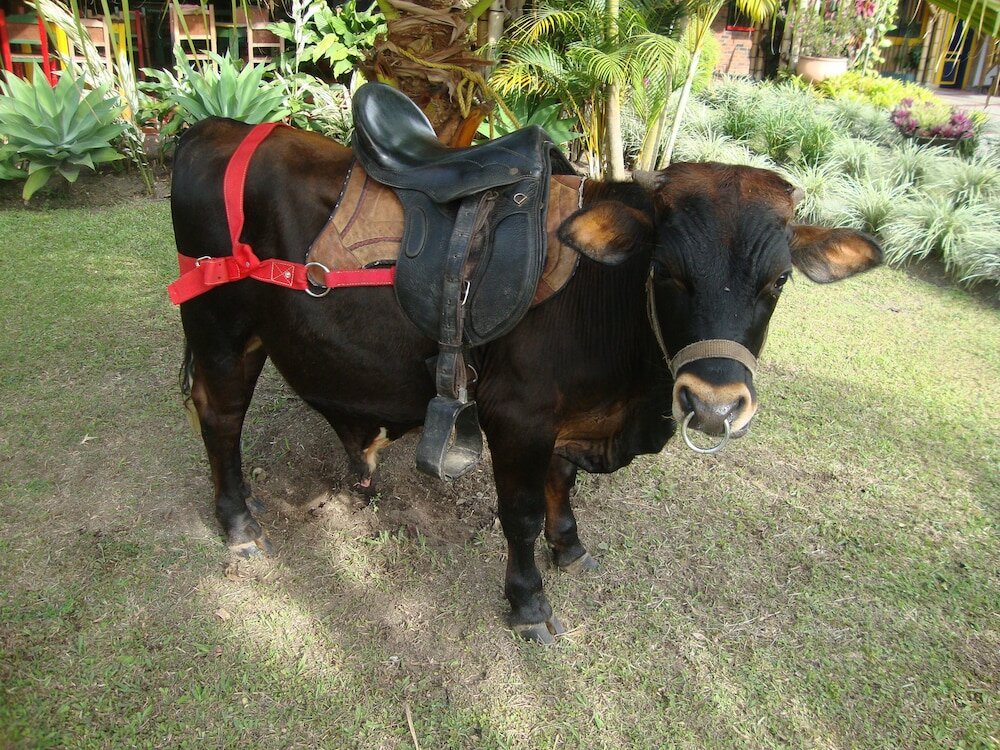 Фото On Vacation Karlaká