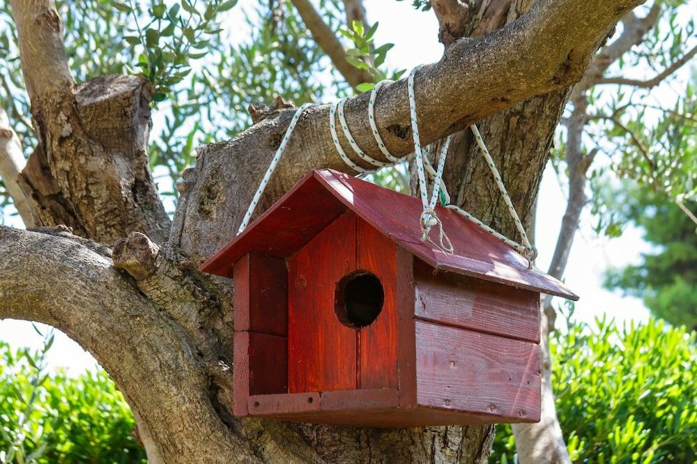 Фото Hostel Oktarin