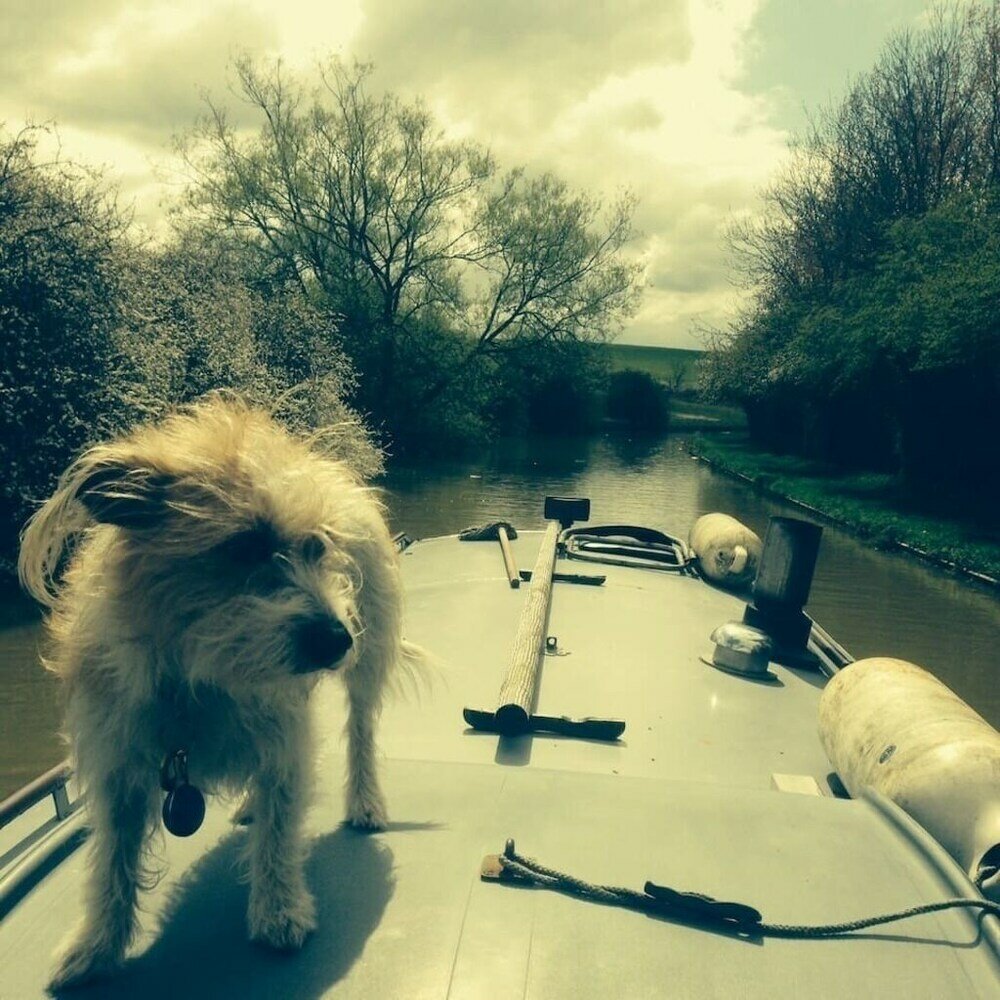 Фото Boutique Bijoux Garden Flat in Vibrant Oval