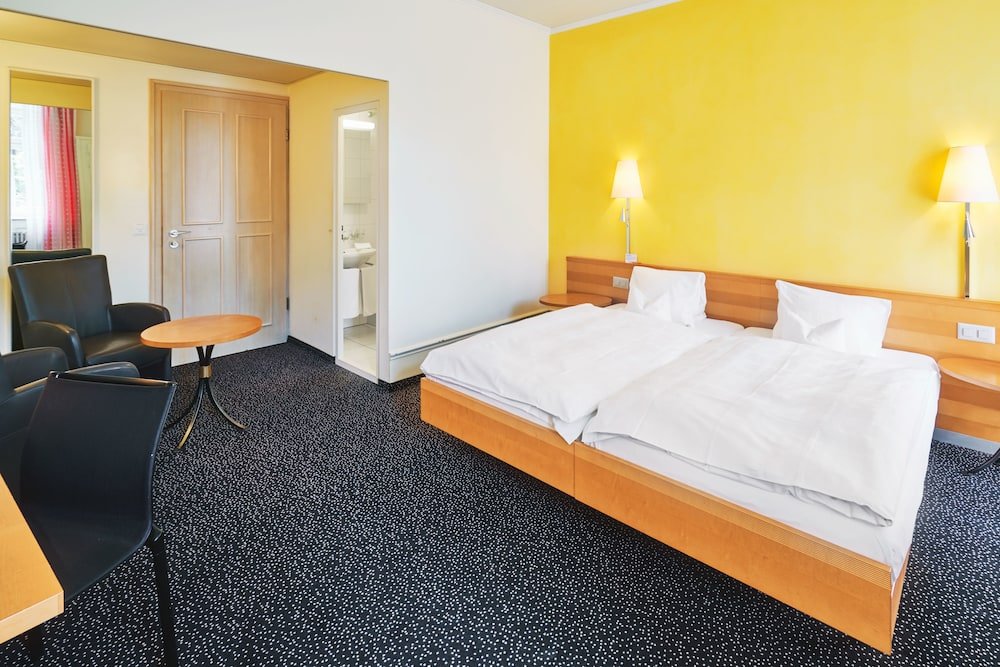 Фото Hotel Schutzen Rheinfelden