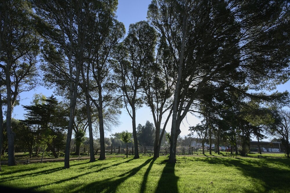 Фото Cortijo de Guerra