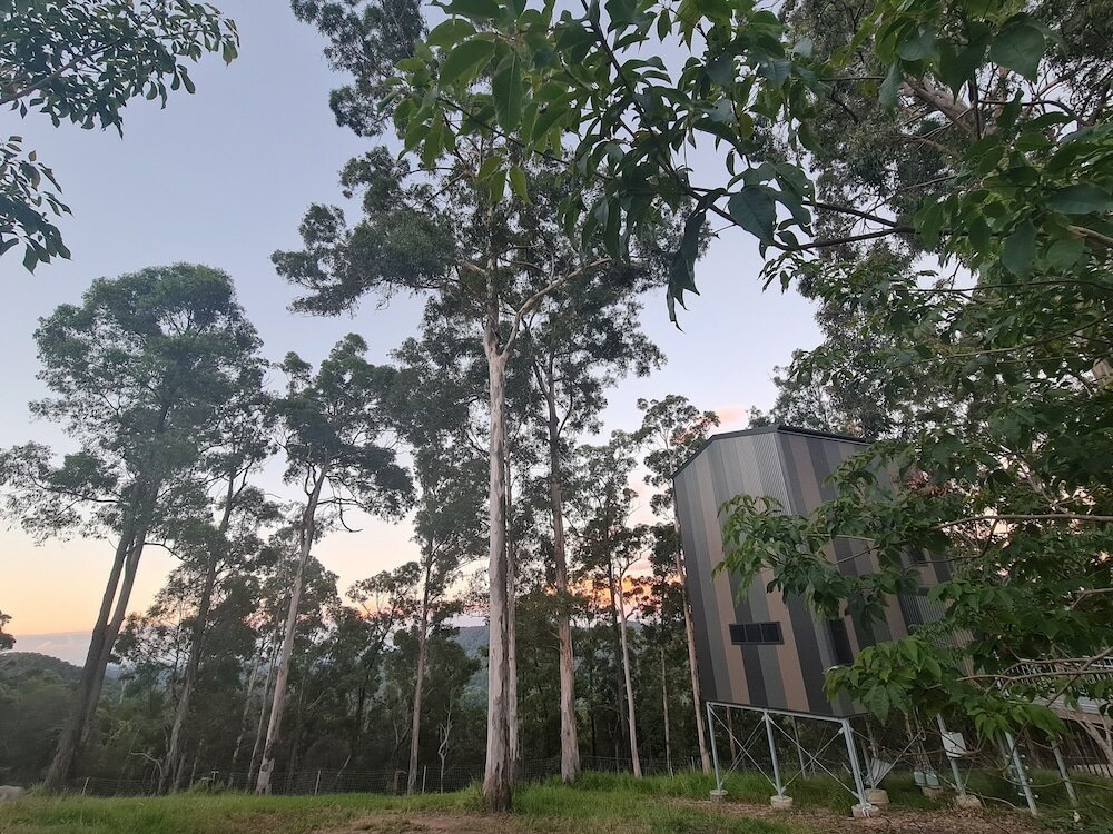 Фото Gold Coast Tree Houses