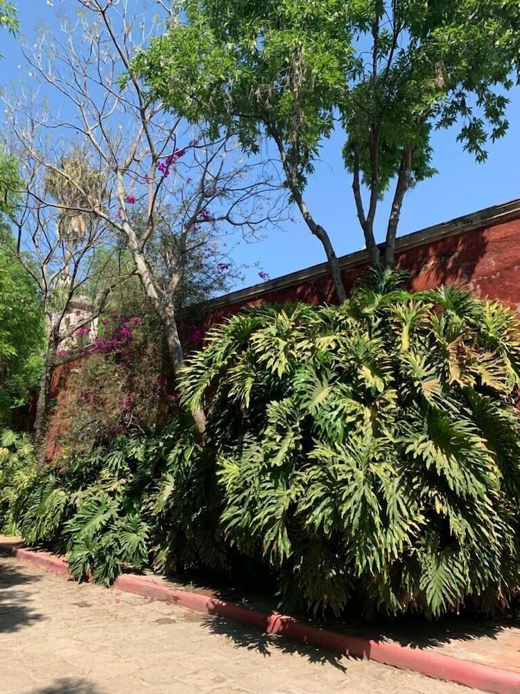 Фото Hacienda Tzintzimeo