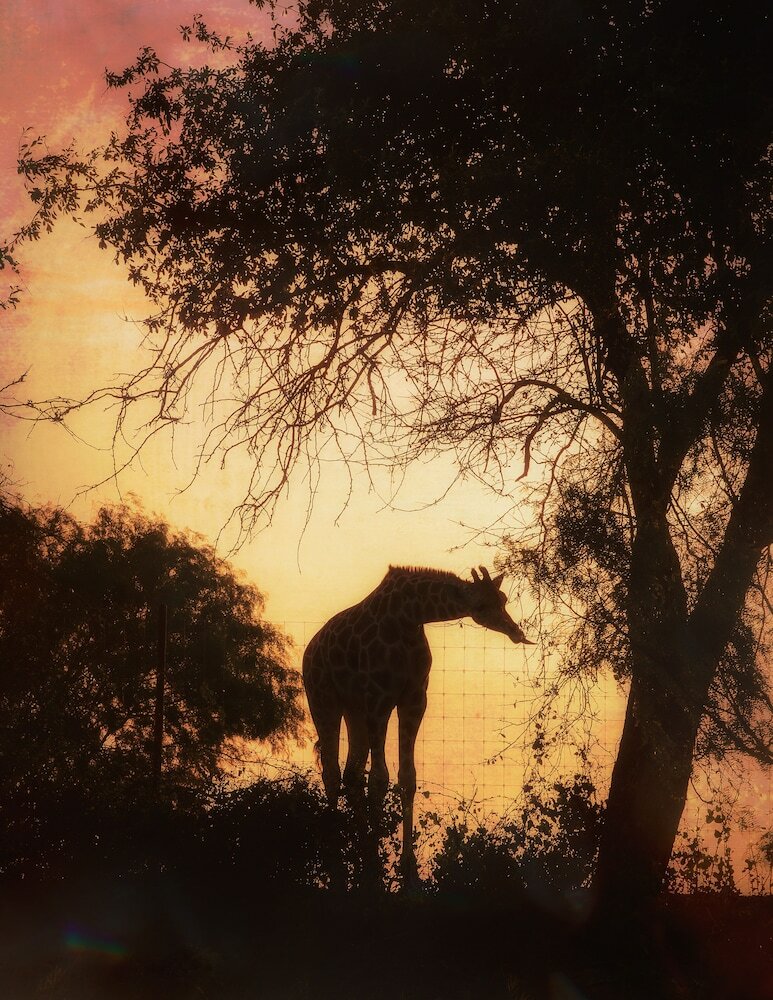 Фото Blue Hills Ranch