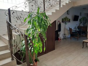 Гостиница Vila Fortuna Auri