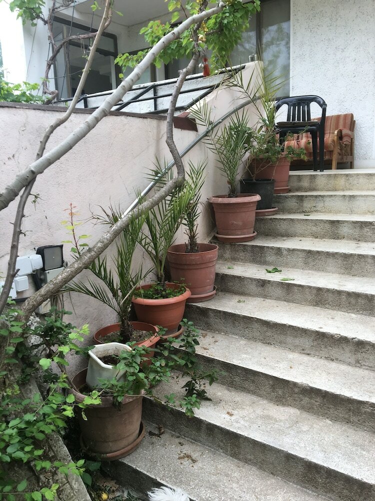 Фото Hair of the Dog Hostel