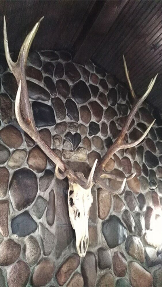 Фото At the Doctor