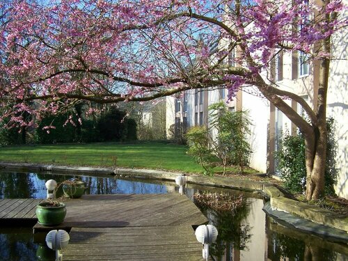 Гостиница Hôtel Cositel Coutances