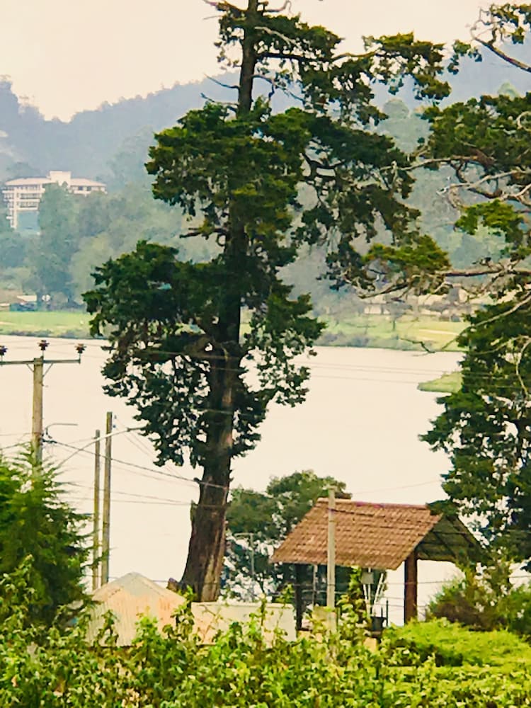 Фото Heidis Home