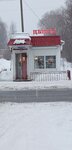 Цветы (rabochiy posyolok Plesetsk, Oktyabrskaya ulitsa, 35), flower shop