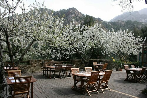 Гостиница Auberge de la Foret