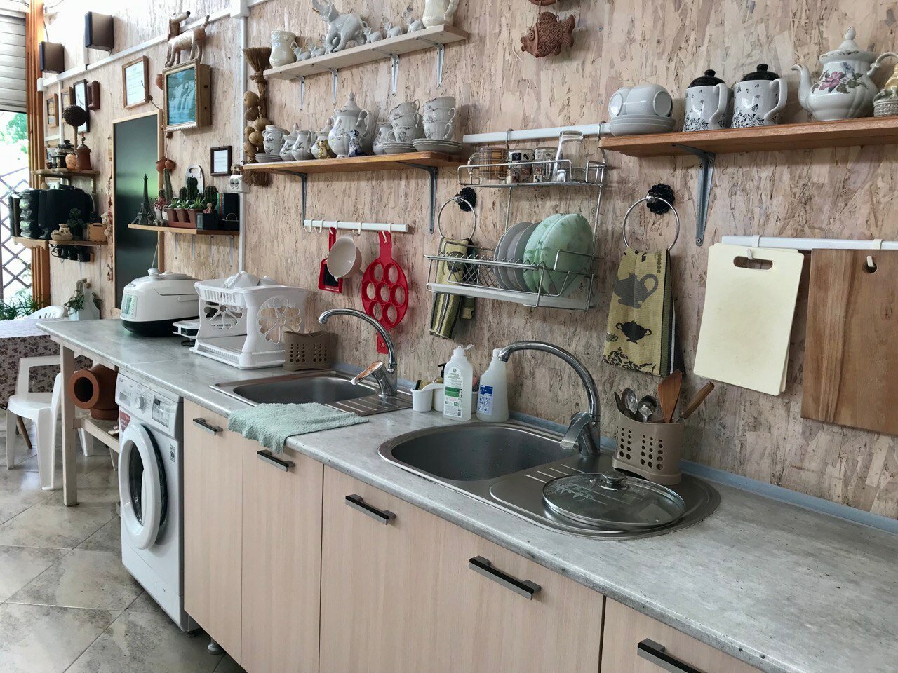 Фото Кофейное дерево