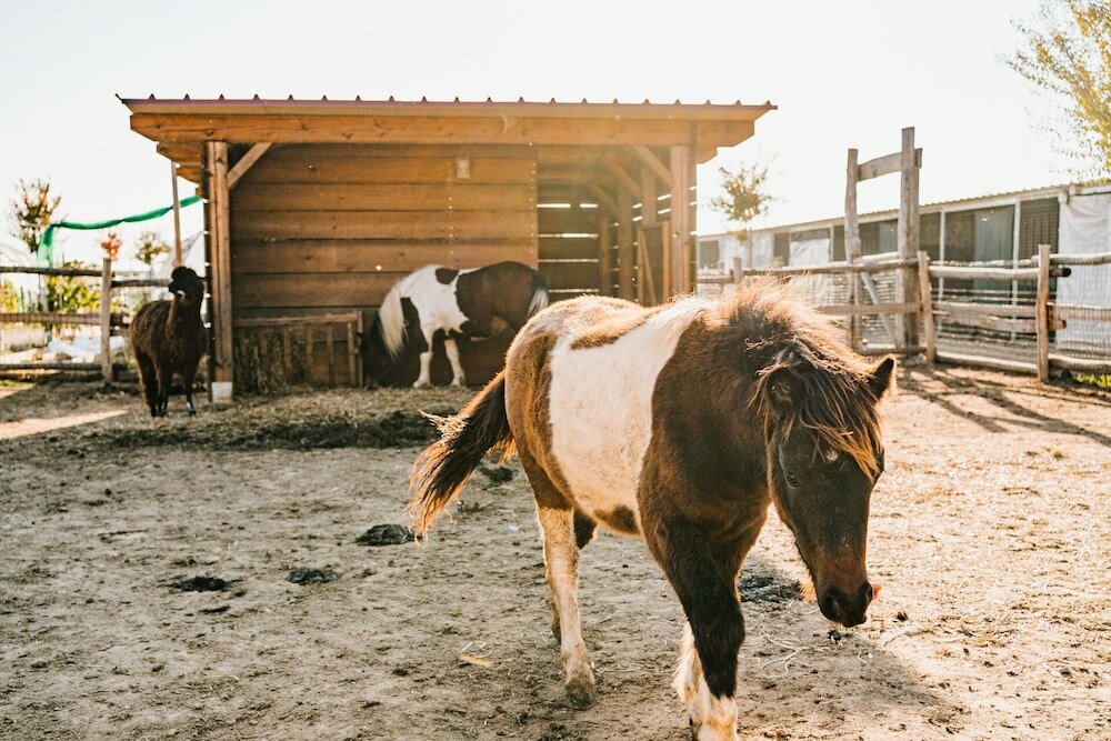 Фото La Tenuta di Santo Stefano Agri Resort & SPA