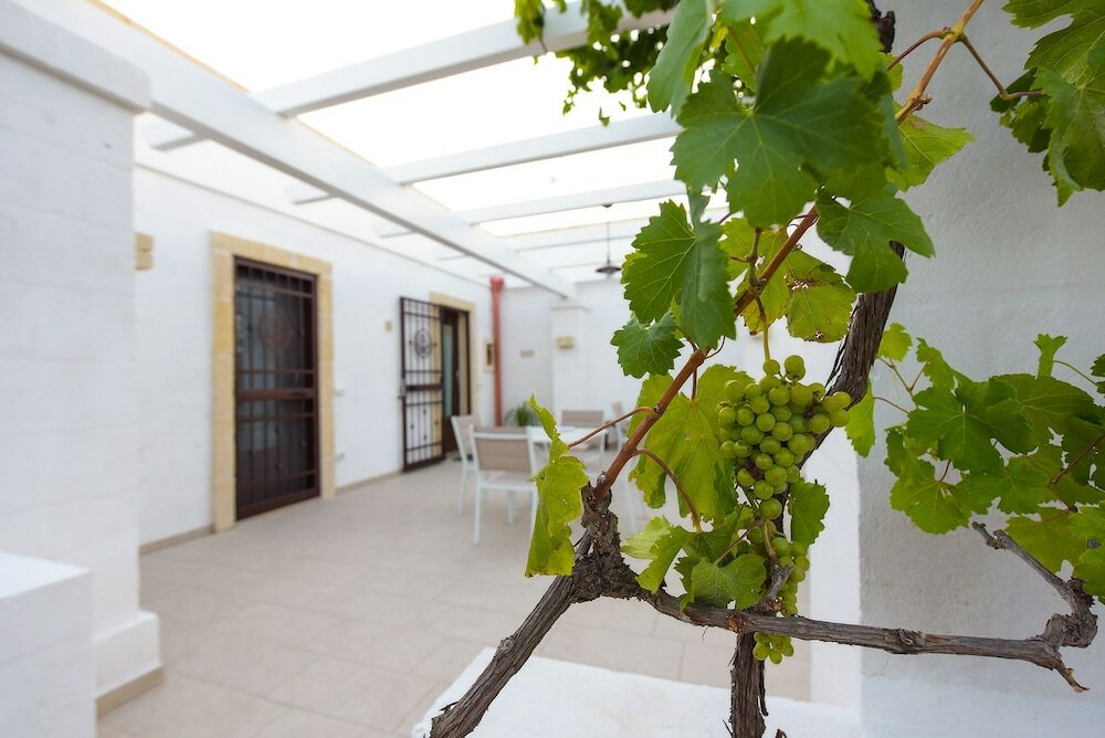 Фото Terra Mater Rooms