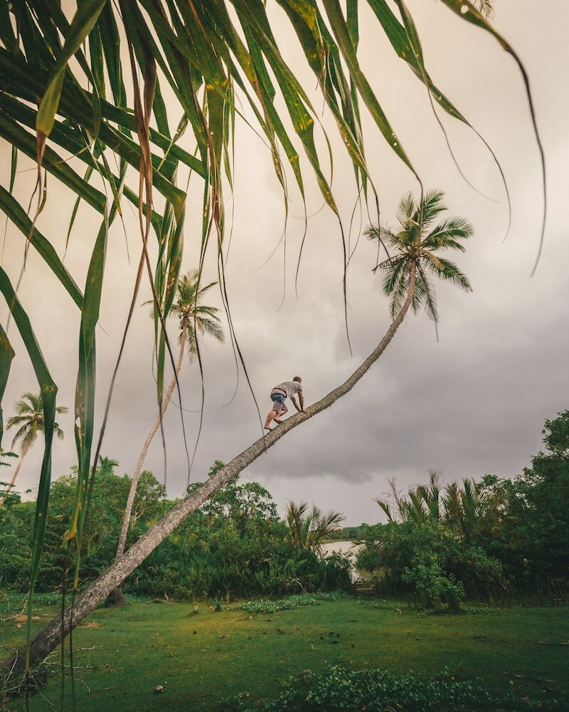 Фото Nirvana Beach Boutique Hotel