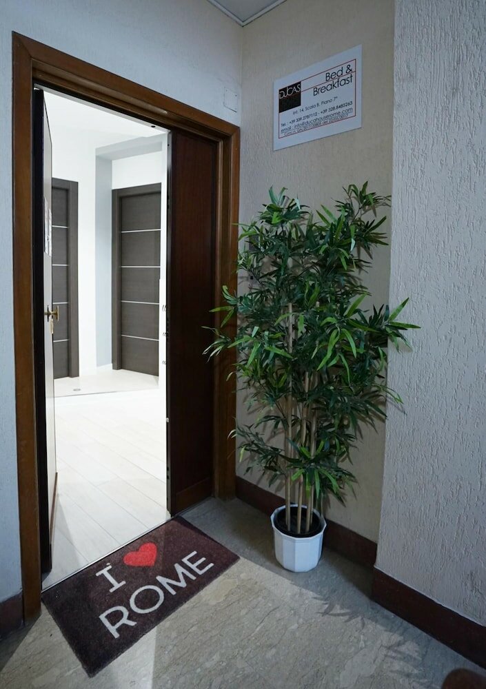 Фото Duca's House