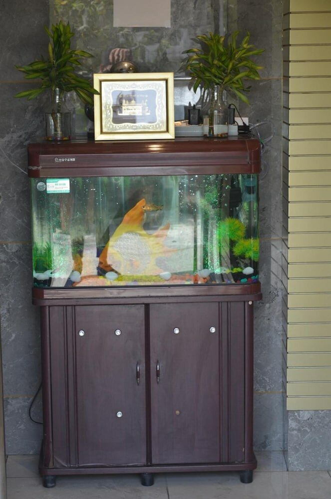 Фото Preet Palace