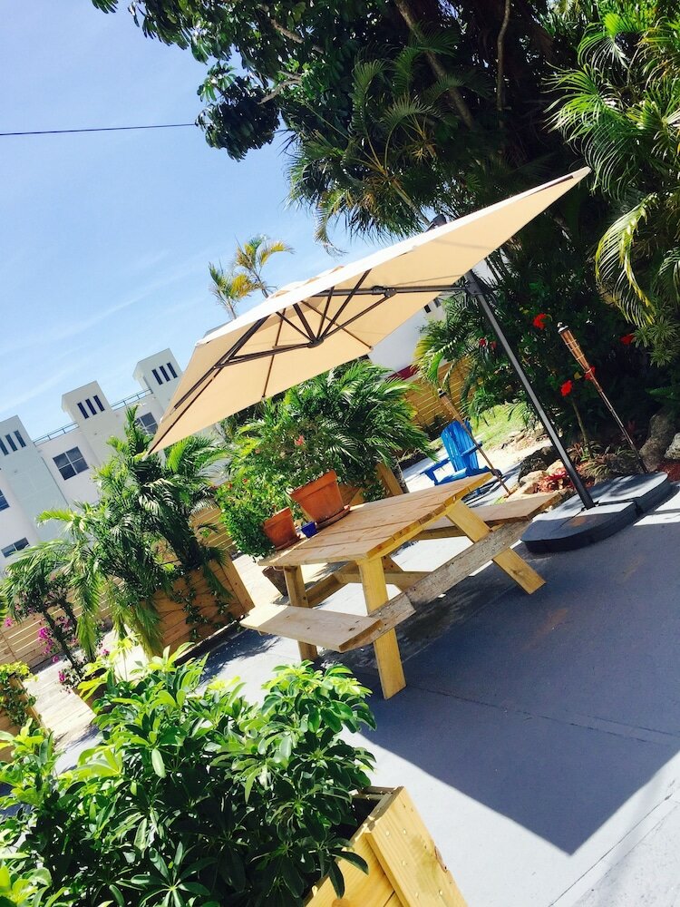 Фото Oasis Hotel