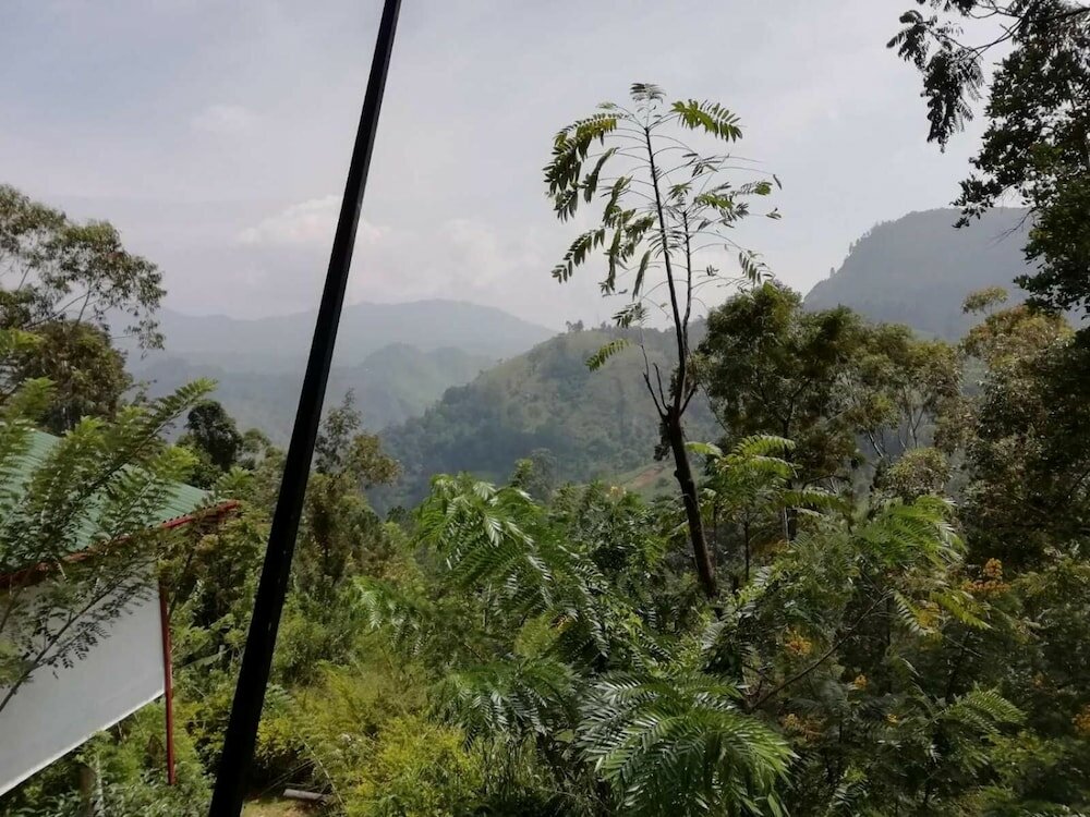 Фото Cloudy Hill Cottage