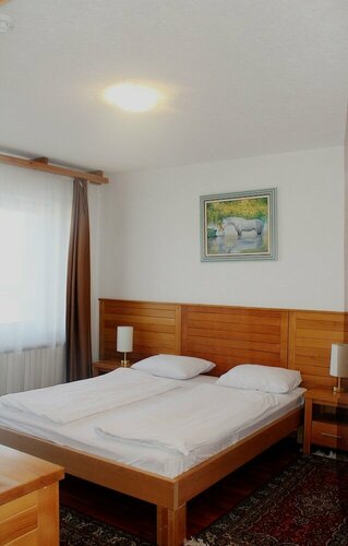 Hotel Hotel Borovi Sjenica, Earth, photo