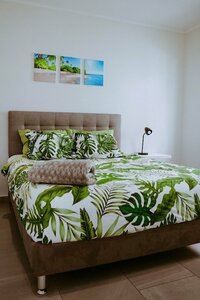 Гостиница The Palm Leaf Apartments