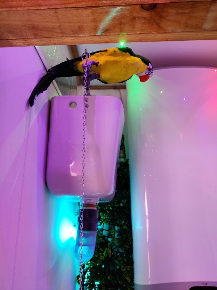 Фото Wonder Room Paraiso Magico Habitacion