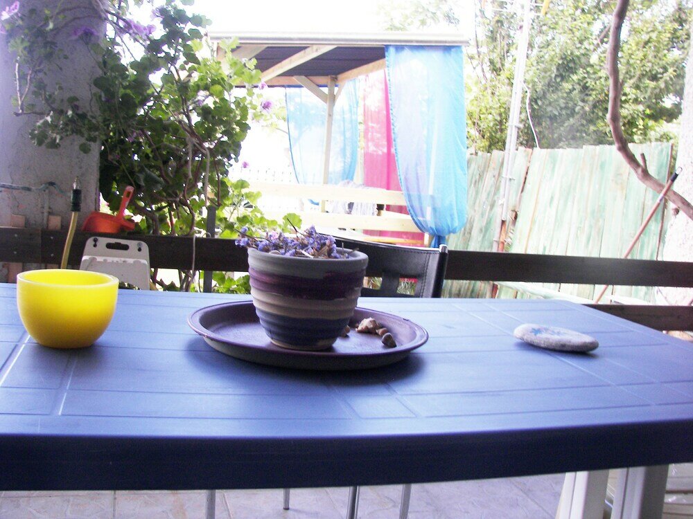 Фото Blue Dreams