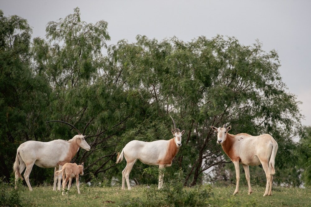 Фото Blue Hills Ranch