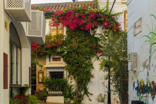 Фото Pension Aduar