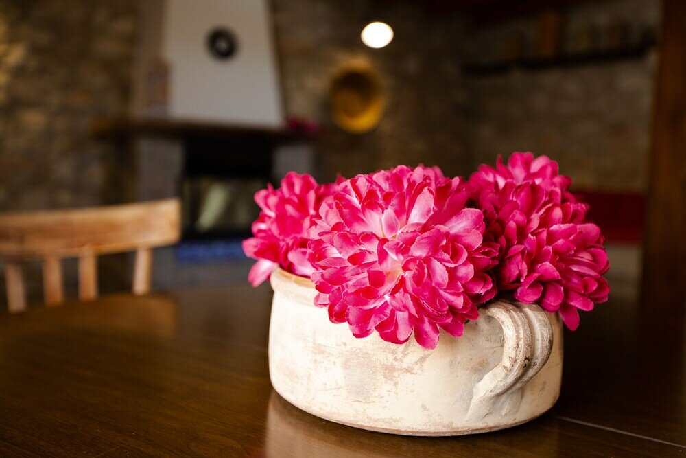 Фото IzzHome Country