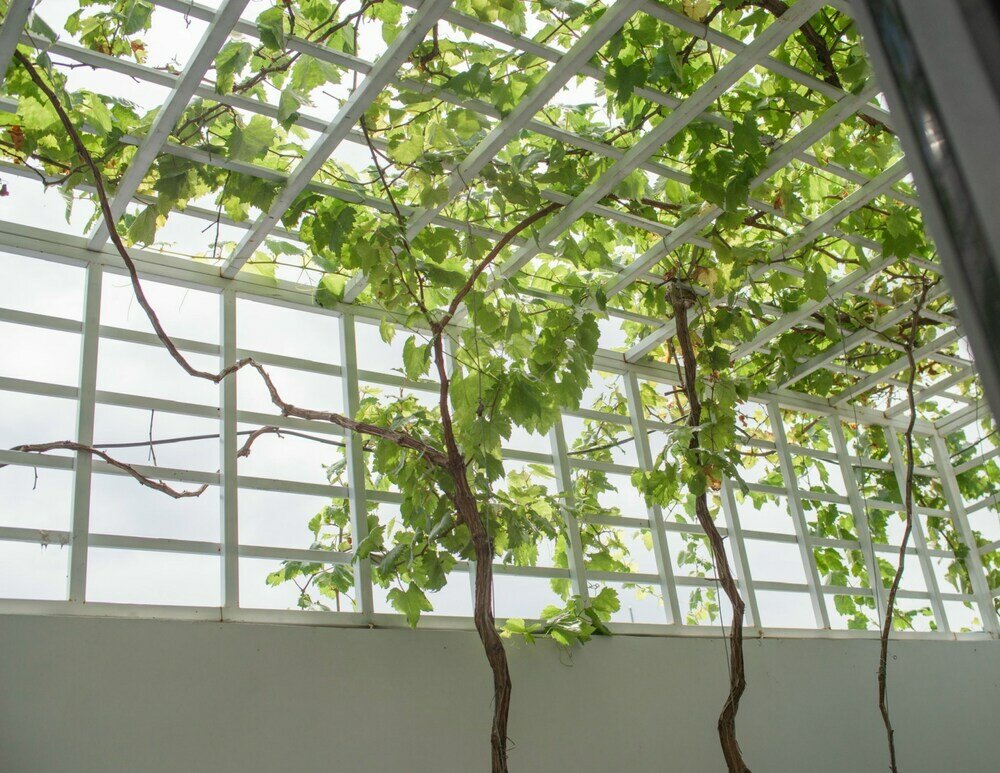 Фото West Lake Hotel