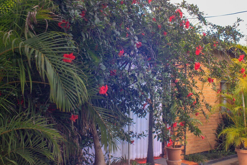 Фото Lillo Executive Lodge