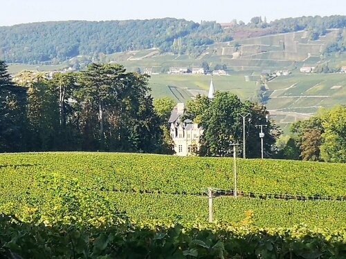 Гостиница Le Temps D'une Pause à Boursault