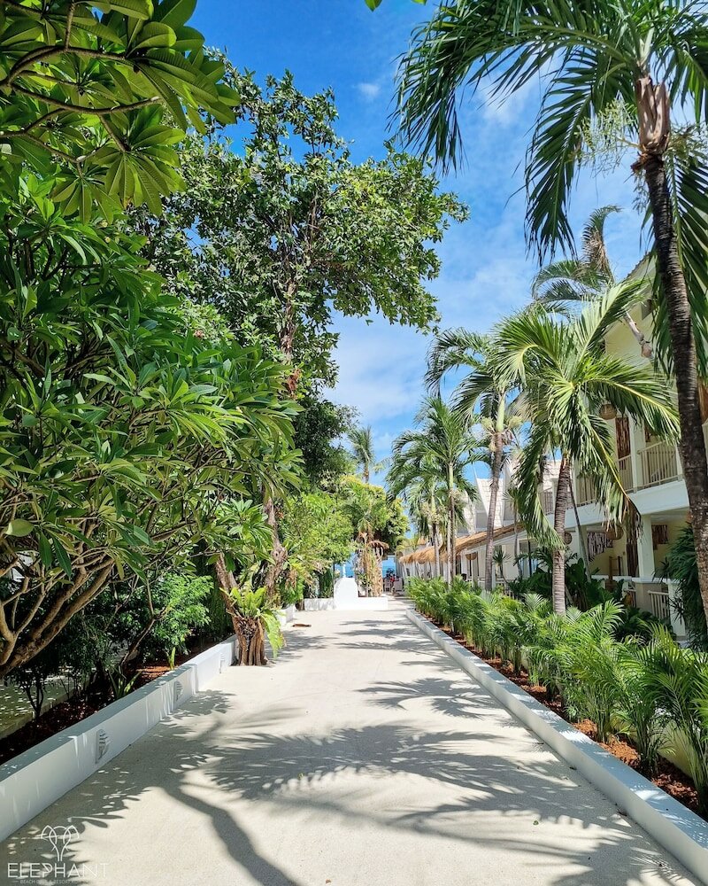 Фото Elephant Beach Club & Resort