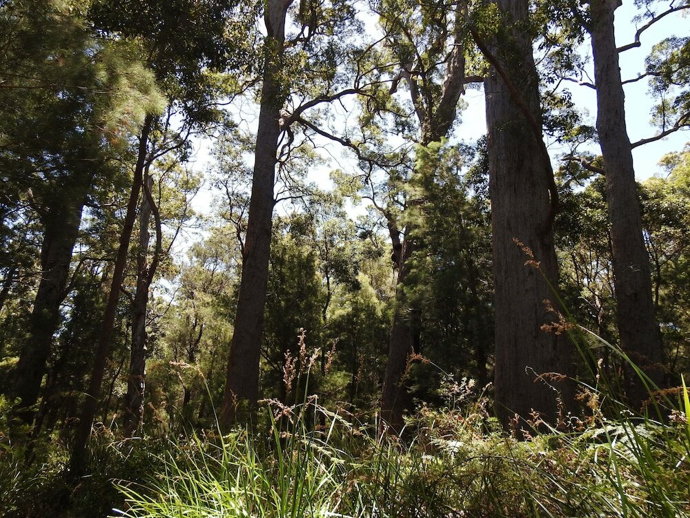 Фото Serenity House Pemberton