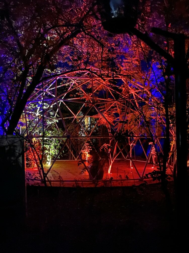 Фото Hotel La Casa de los Árboles