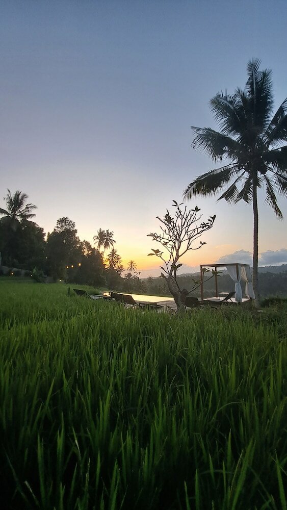 Фото Bali De Pardis Cottage