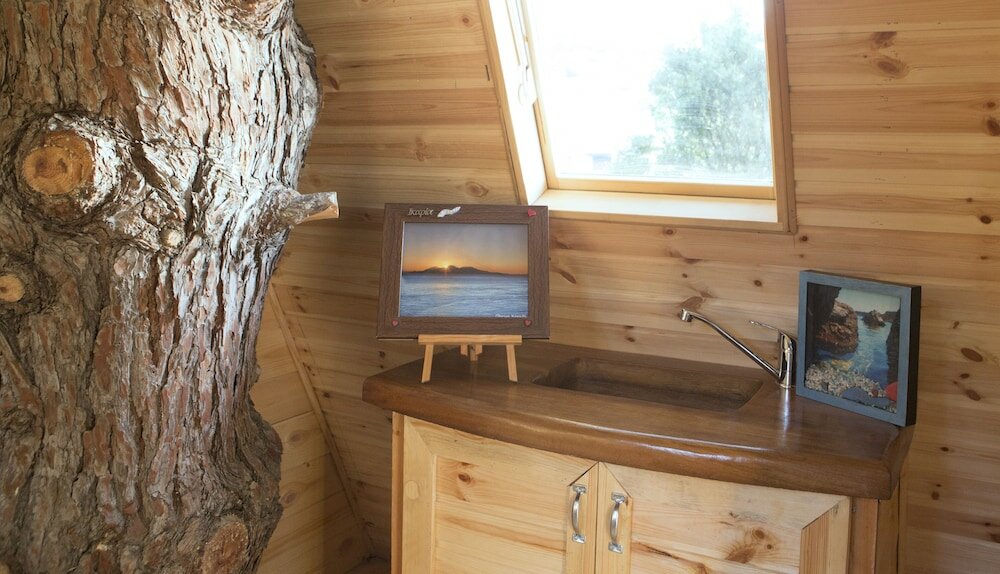 Фото Captain Ikaros