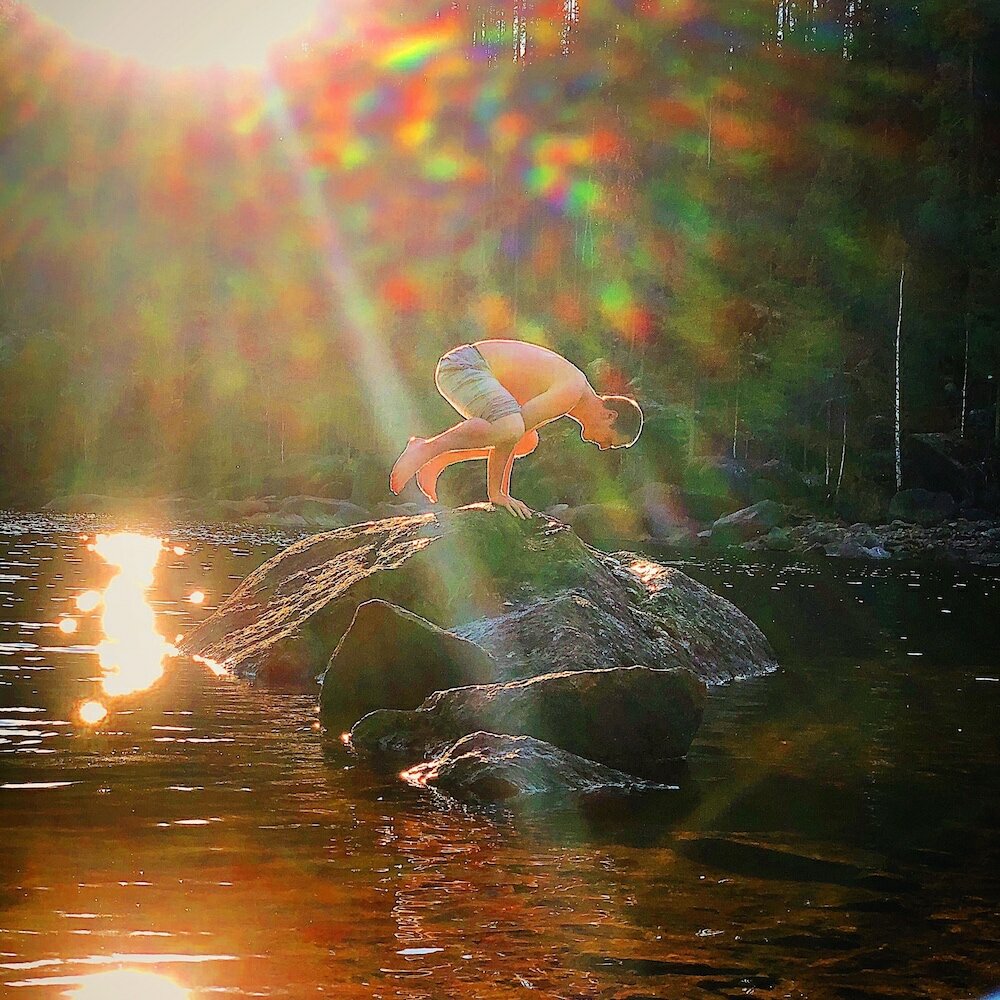 Фото Vildmarks Lodge