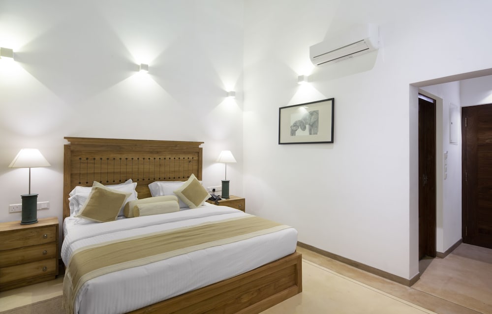 Фото Lucky Elephant