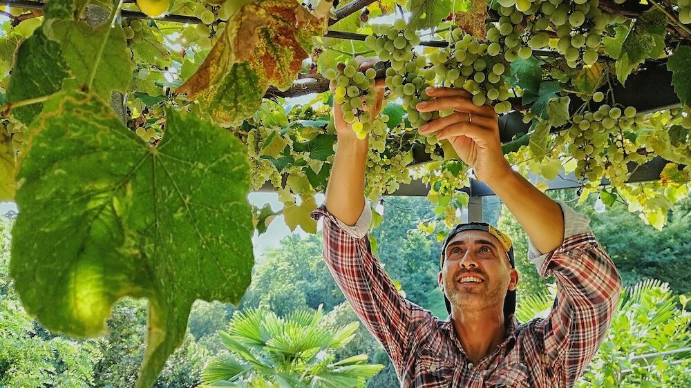 Фото Al Nifontano B&b