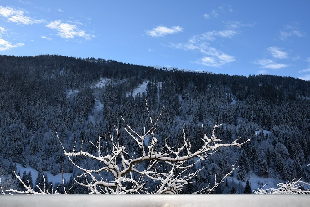 Фото Hotel Sonnblick