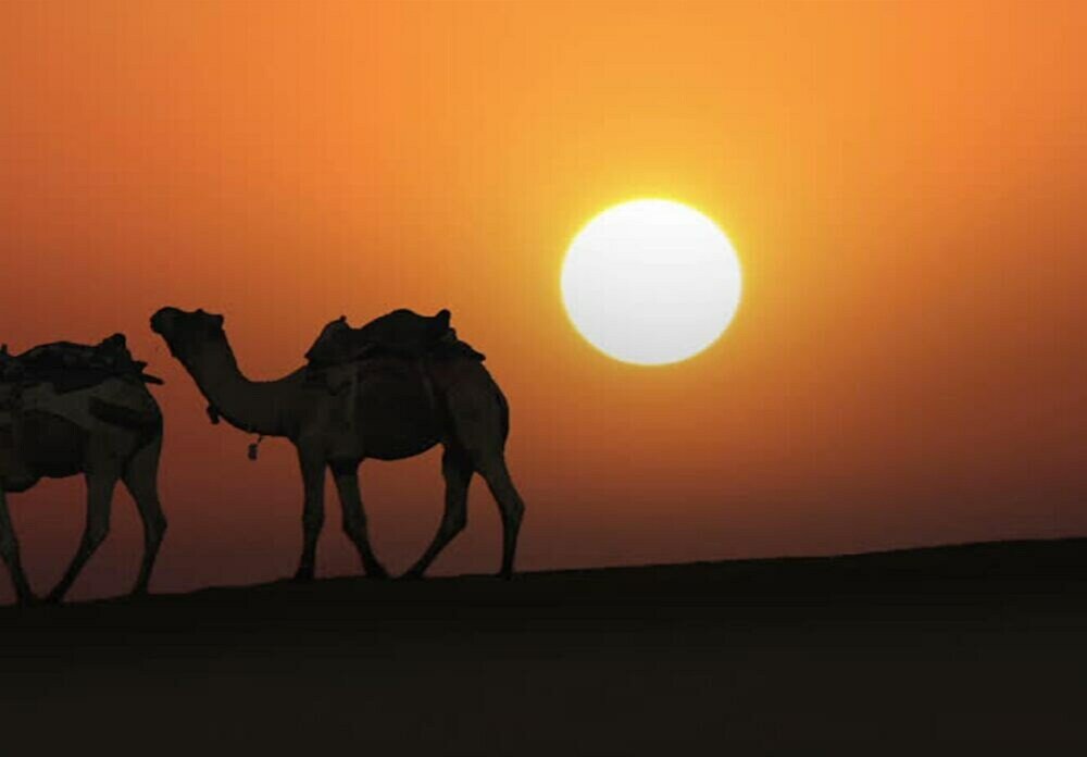 Фото Discovery Desert Camps