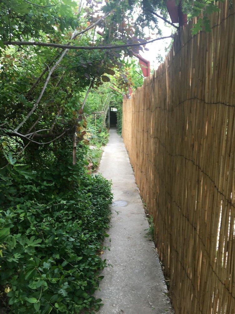 Фото Hair of the Dog Hostel